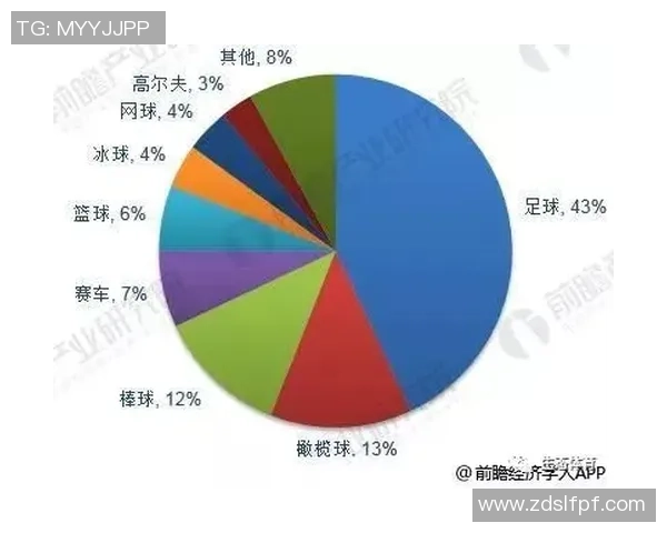 中国足球球星工资揭秘:高薪背后的市场价值与发展前景分析 中国足球球星工资揭秘:高薪背后的市场价值与发展前景分析