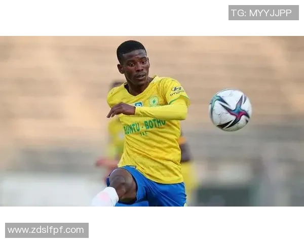 南非足球明星球员排名及其影响力分析完整图谱 南非足球明星球员排名及其影响力分析完整图谱